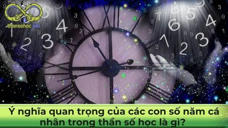 Ý nghĩa quan trọng của các con số năm cá nhân trong thần số học là gì?