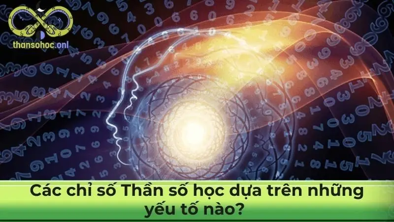 Các chỉ số Thần số học dựa trên những yếu tố nào?