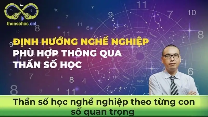 Thần số học nghề nghiệp theo từng con số quan trọng